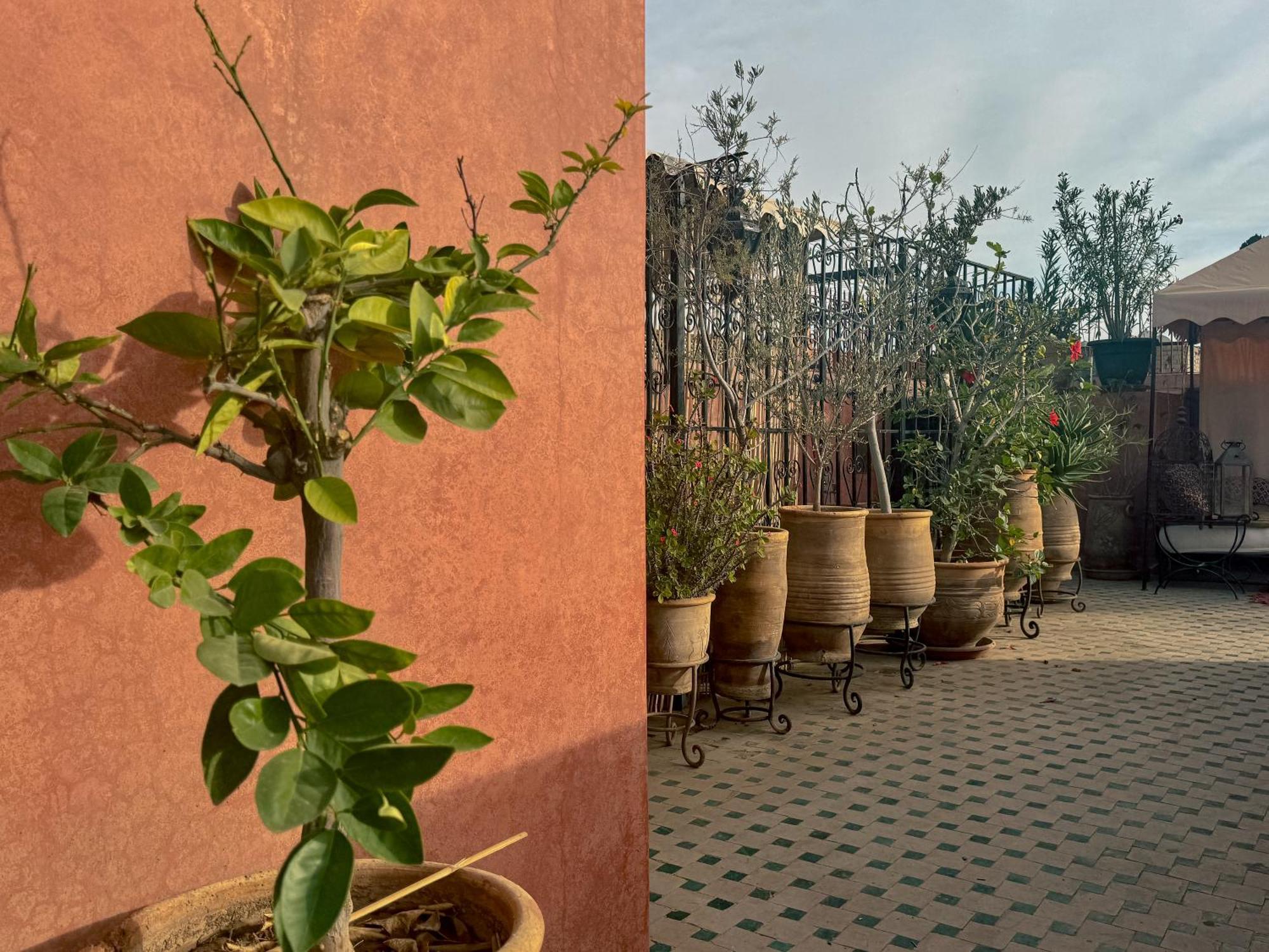 Riad Lapis-Lazuli Bed & Breakfast Marrakesh Exterior photo